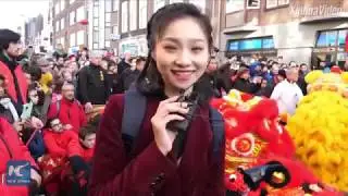 Chinese Lunar New Year celebrated in Netherlands