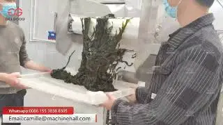 Nori Washing Machine