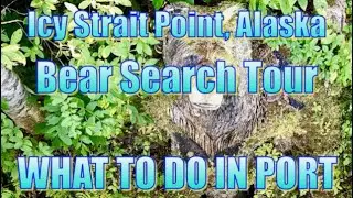 Icy Strait Point, Alaska - Spasski River Bear Search Tour- What to Do in Port
