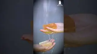 Natural Alternatives for Soap and Body Wash | Dr. Bhaswati Body to Beiing | Shlloka