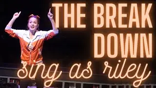 we are the tigers - the breakdown KARAOKE (sing as riley!)