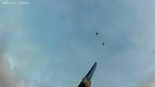 10 Gauge Over / Under  - One Man Goose Hunt