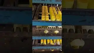 WEET Best Audio Capacitors in China Cross ERSE Mundorf Mallory BENNIC Solen and jb