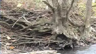 Clearfork River Time 11-17-09