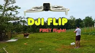 Iloilo  first time drone flying...with cow watching😅