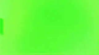 Light Leaks 2 Overlay Green Screen