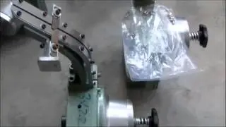 Auto feed riveting machine Eyelet machine manufacturer in China
