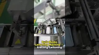 Bulk Masks Cartoning Machine ① Erecting Cartoning