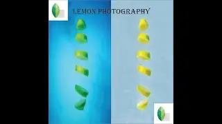 Lemon Photography | Photography Hacks | Creative Photography Ideas | Photography Tricks at Home