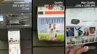Лаборатория печати IPSi &ndash; Epson ColorWorks C6500: демонстрация скорости печати