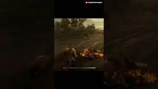 What happens if we throw a molotov at a horse #shorts #rdr2
