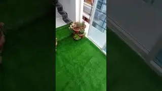 Artificial grass mat #shorts #artificalgrass