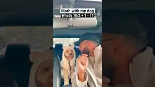 Dog solves really hard math question&hellip; 😳😳 #dogs #cockapoo #dogsofshorts