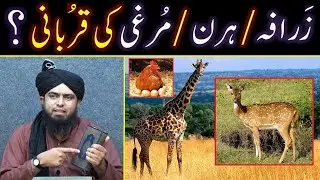 ZARAFA, HIRAN aur MURGHI ki Qurbani ??? BHAINS & COW same kewn hai ??? (Engineer Muhammad Ali Mirza)