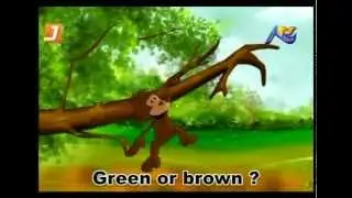 What is the Animals Color ? nursery rhymes with Lyrics