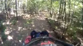 Fourche Mountain Trail complex