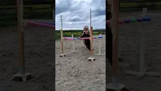 Spa&szlig; im Pferdetraining 🎉🐴 #kleinetante #pferdetraining #horse #equestrian #pferdemensch