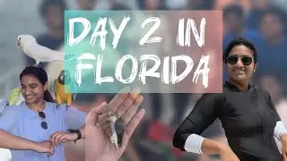 Florida day 2 | Destin | Parasailing | Dolphin Cruise 