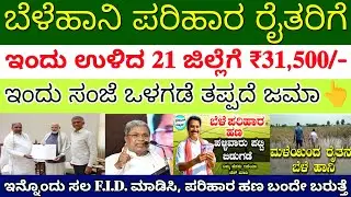 ಇಂದು ರೈತರಿಗೆ ಬೆಳೆಹಾನಿ ಪರಿಹಾರ ಈ 21 ಜಿಲ್ಲೆಗೆ ₹31,500/- ಸಂಜೆ ಒಳಗಡೆ ಜಮಾ | live proof ವಿಡಿಯೋ ನೋಡಿ 