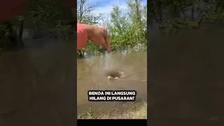 HANYA DUA DETIK! PUSARAN AIR MENYEDOT BENDA INI #shorts #short #shortsviral
