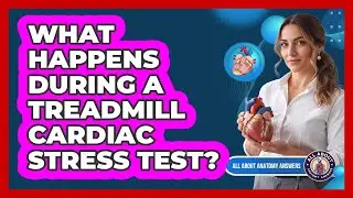 What Happens During A Treadmill Cardiac Stress Test?