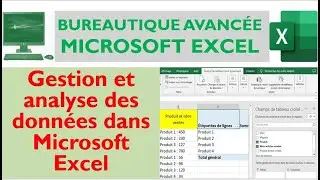 Bureautique avanc&eacute;e Microsoft Excel Gestion et analyse des donn&eacute;es dans Microsoft Excel