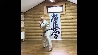 #hanshi #martialarts #kyokushin #karate