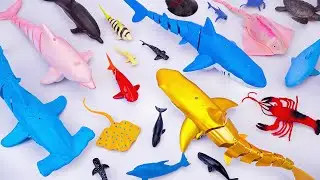 [🦈toy asmr 🦈] RC Shark & RC Dolphin & RC Stingray & Sea Animal Toys Collection | Satisfying Unboxing