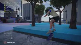 skate.: Community Park Madness (Part 2) and Other Crazy Stuff