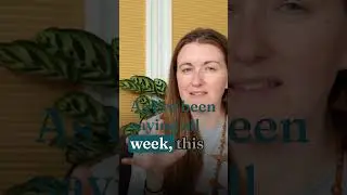 Do you have your ticket for Grace & Space? 🎟️ #virtualretreat #languageretreat #languagelearning
