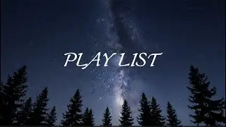 은하수 아래의 고요한 숲Dreaming in the Silent Forest