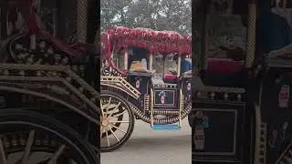 Baggi at Lahore Minar e Pakistan | Famous for Weddings in Pakistan #train #travel #railway #vlog