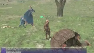 Dragoon vs Quadav