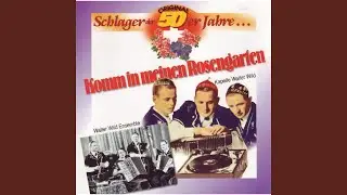 Mis schöni Züri