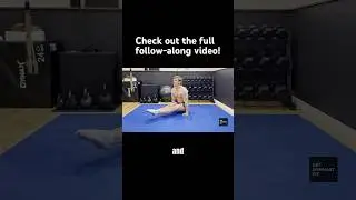 Core and Spine drills #coretraining #absworkout #spinehealth #functionaltraining  #mobilitytraining