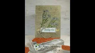 Quiet Meadow Bundle Facebook Live