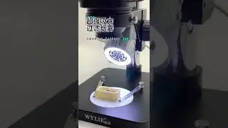 WYLIE WL-217 Microscope LED Smoking Instrument