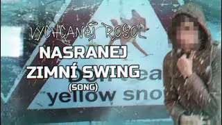 Vychcanej Rosol - Nasranej zimn&iacute; swing AI SONG