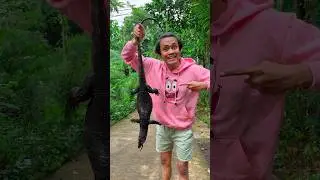 Asep Tangkap Dinosaurus 🦕