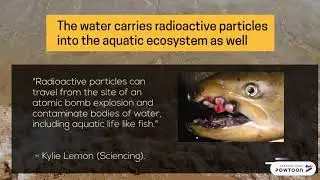 Environmental Effects of Atomic Bombs: Hiroshima and Nagasaki