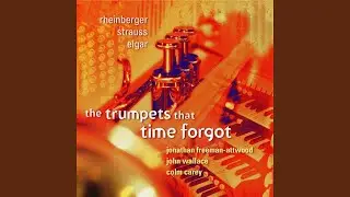 Sonata No. 2, Op. 87a: III. Fugue