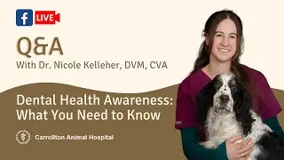 Q&A Session with Dr. Nicole Kelleher: Dental Health Awareness