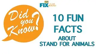 The Fix: 10 Fun Facts About Stand For Animals