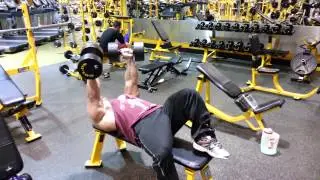 IFBB PRO AMIT SAPIR- DB Flies & Partial Press