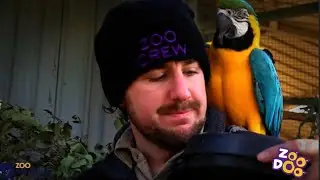 Meet the Zoo Keepers - Jake | Zoodoo Zoo Tasmania | Tasmania tourism | wildlife park | animals