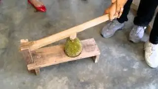 Durian opener