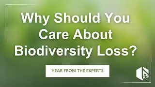 Why Should You Care About Biodiversity? Hear from the experts!