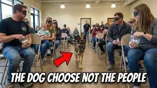 We Let a Shelter Dog Choose Its Human&hellip; (No One Expected This)