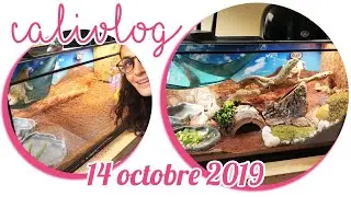 [NYCYLA CALIVLOG] J’AMÉLIORE LE TERRARIUM DE LILA 🦎 [EXCAVATOR]