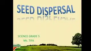 Science Grade 5: Seed Dispersal